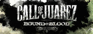 Logo for Call of Juarez: Bound in Blood
