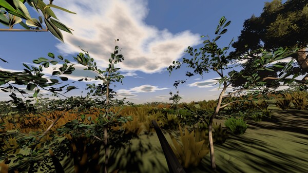 Скриншот из Hunting Life VR: Dove Season Скриншот из Hunting Life VR: Dove Season