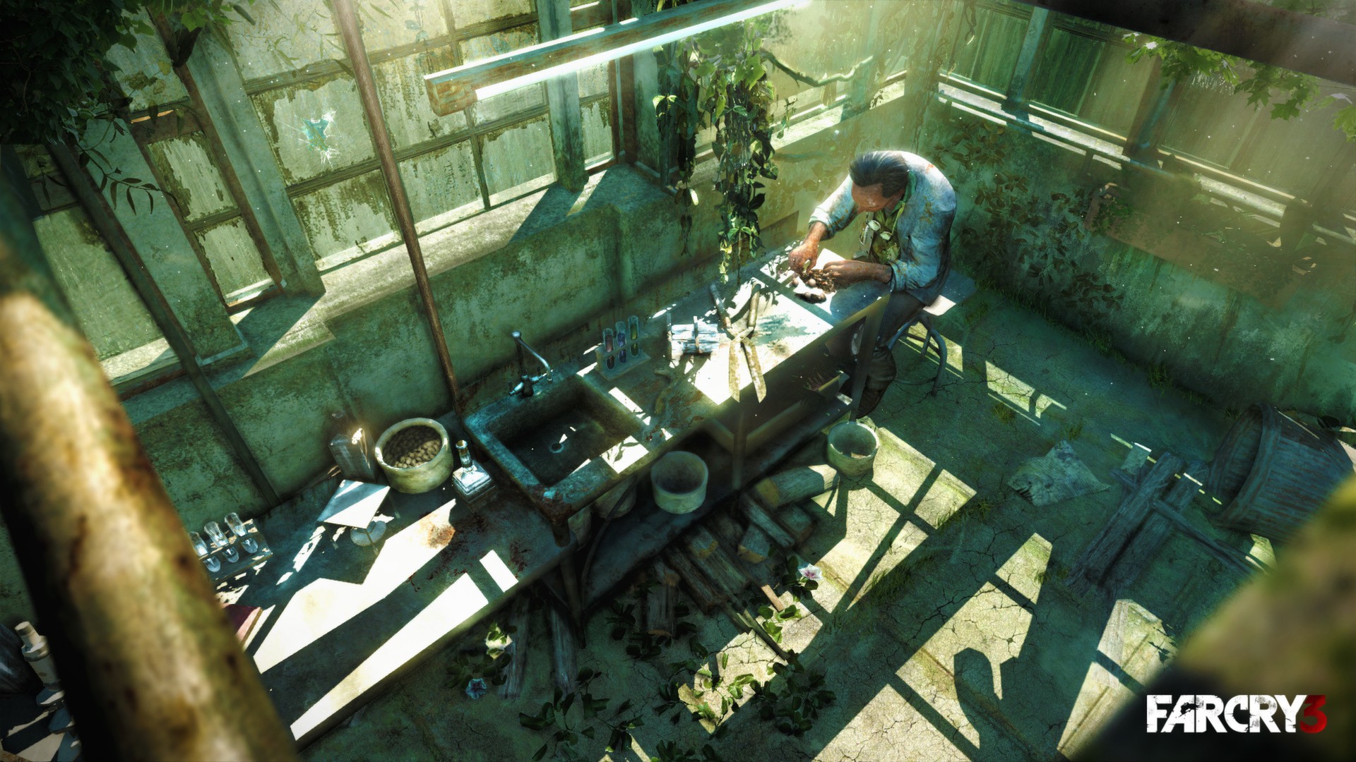 Far Cry 3 screenshot 13