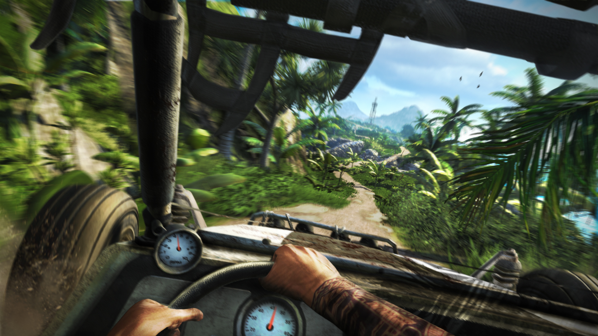  Far Cry 3 - PC : Movies & TV