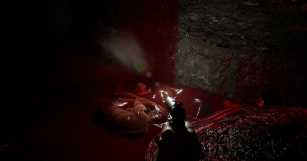 Скриншот из Delusion