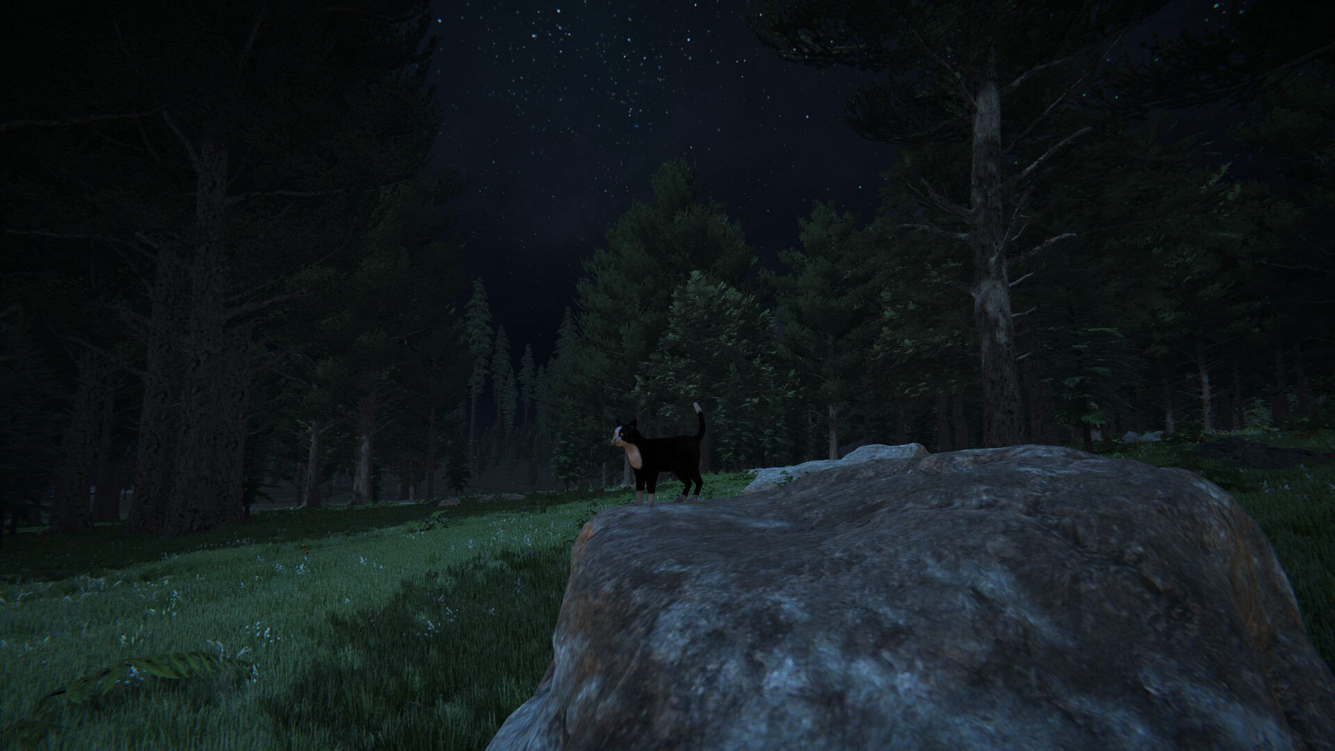 Cat Life screenshot 1