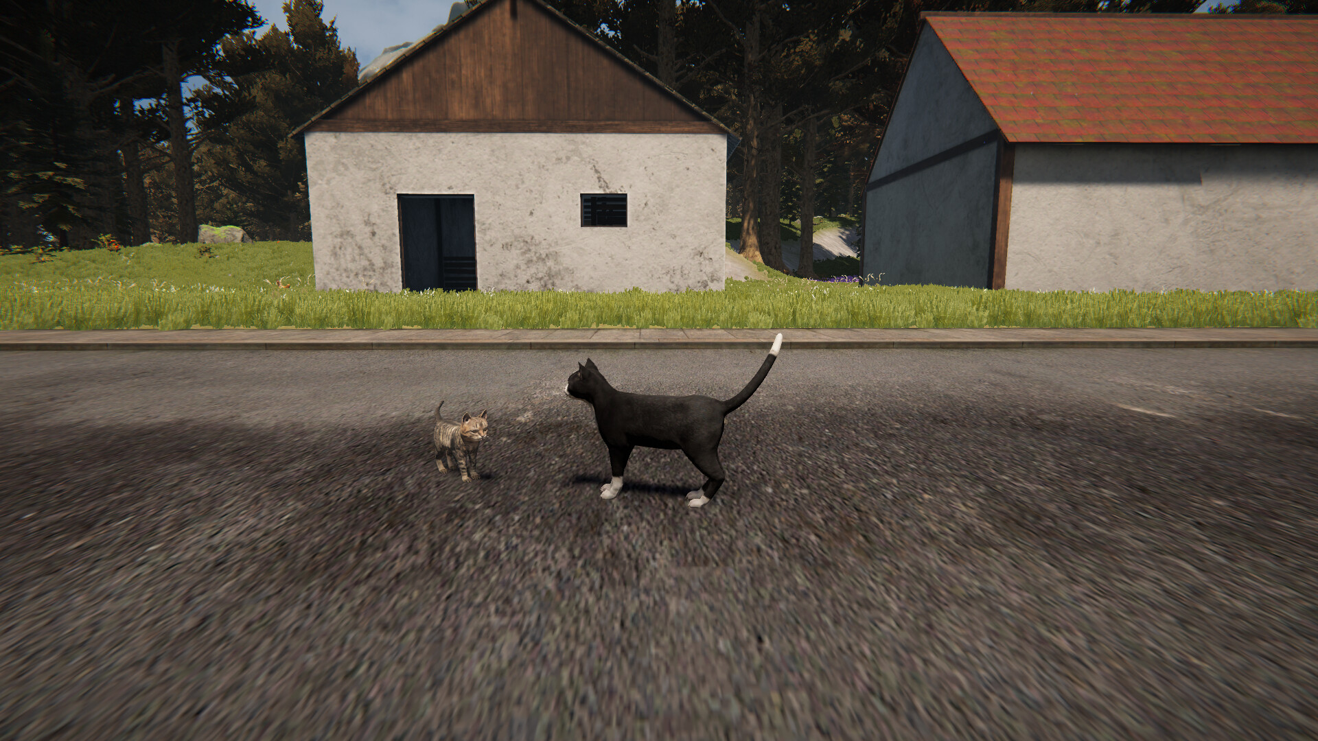 Cat Life Simulator on Steam