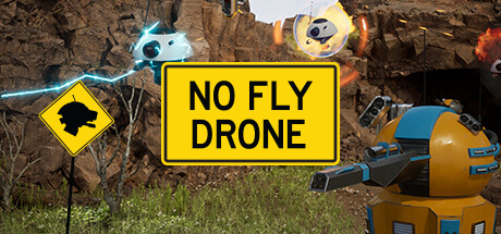No Fly Drone Cover Image