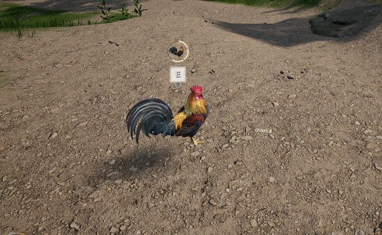 仙道孤旅 game for windows Pc 1