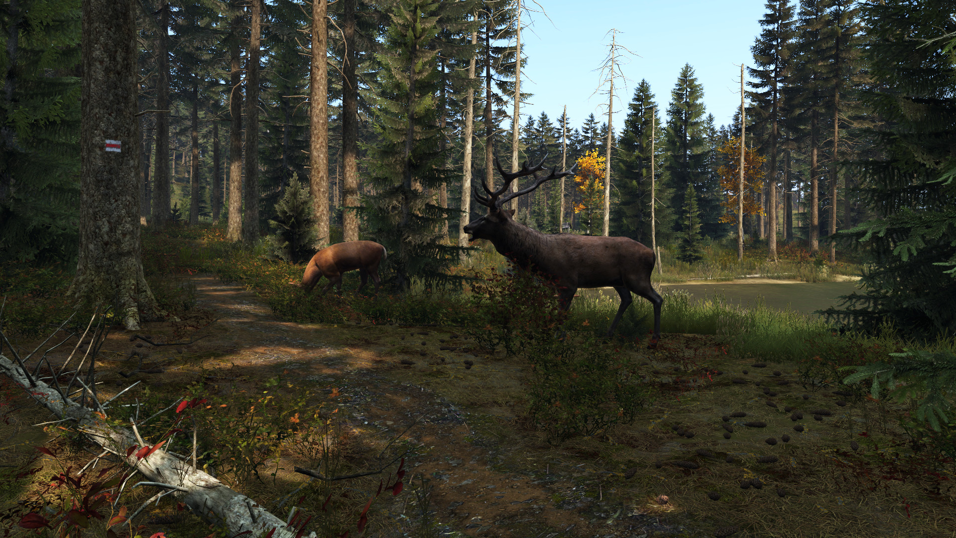 DayZ screenshot 1