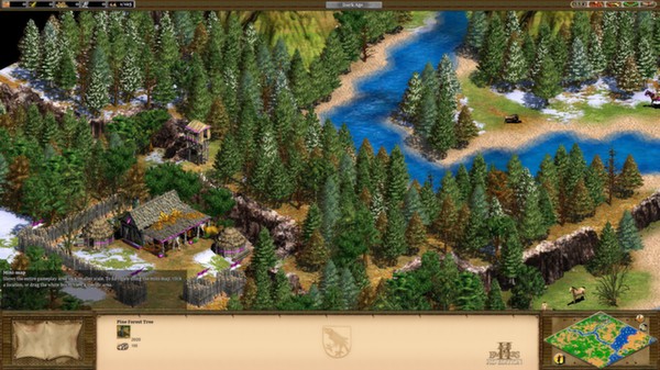 скриншот Age of Empires II (2013) 1