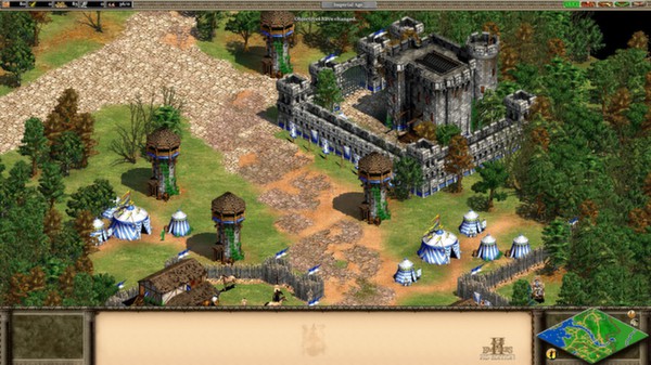 скриншот Age of Empires II (2013) 4