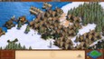 Age of Empires II HD picture6