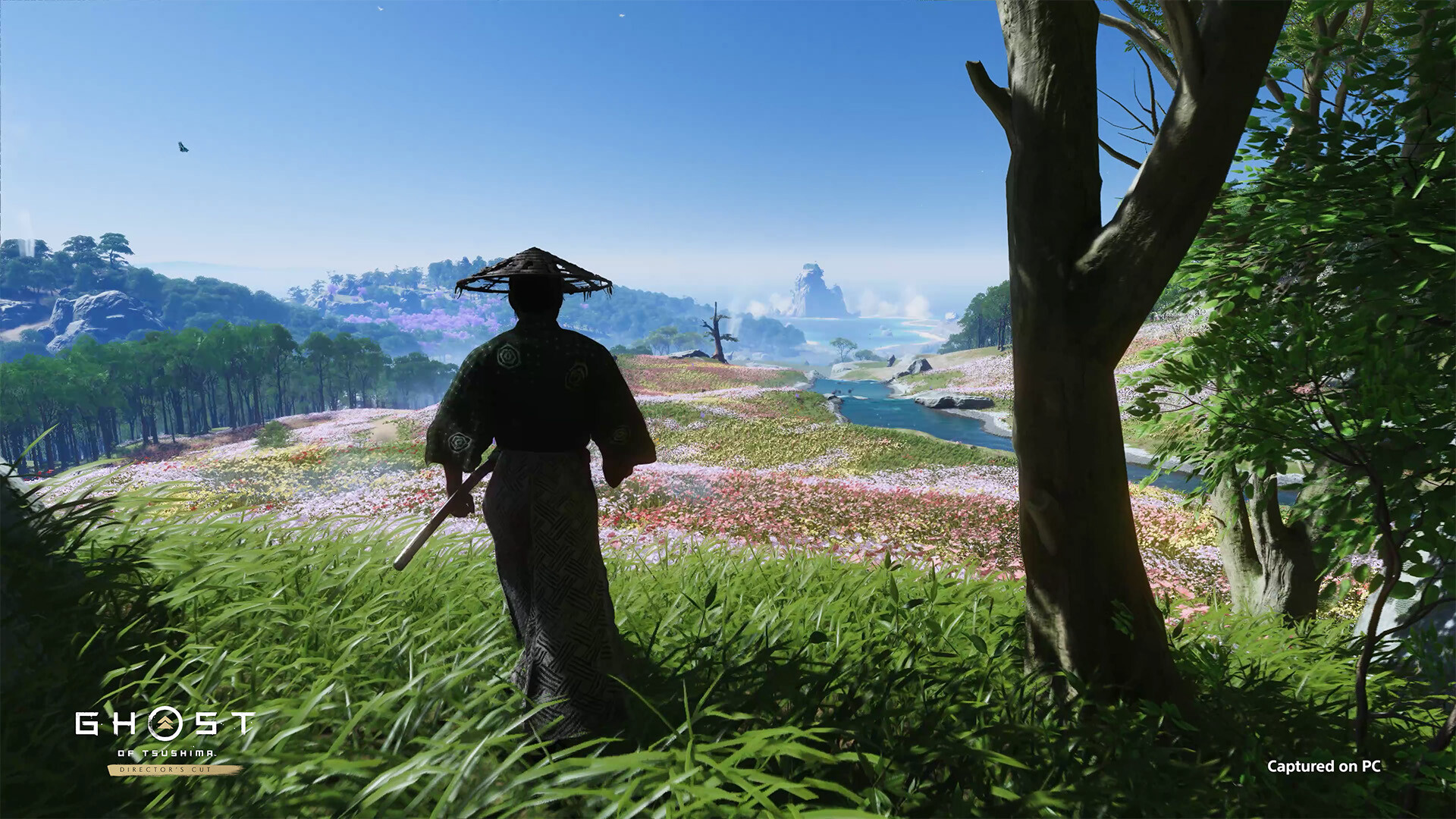 Pre-purchase Ghost of Tsushima DIRECTOR'S CUT on Steam