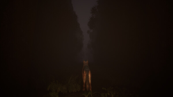 Out of Nowherefor windows and Linux 1