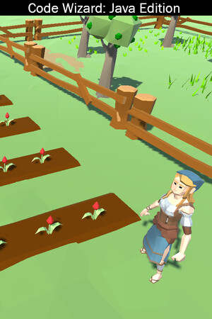 Code Wizard: Java Edition