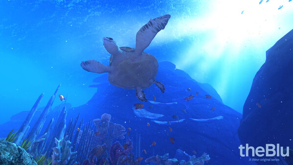 theBlu - Reef Migration