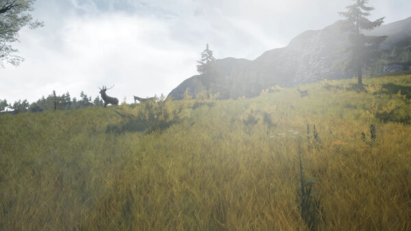 DragonHill VR game for windows Pc 1