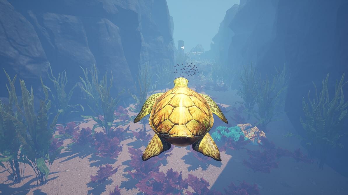 Turtles on Steam