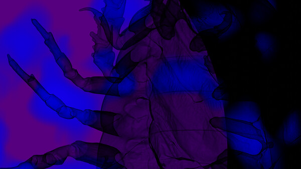 Eon of the Greenfor windows and Linux 1