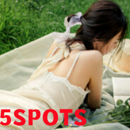 Скриншот из 5SPOTS