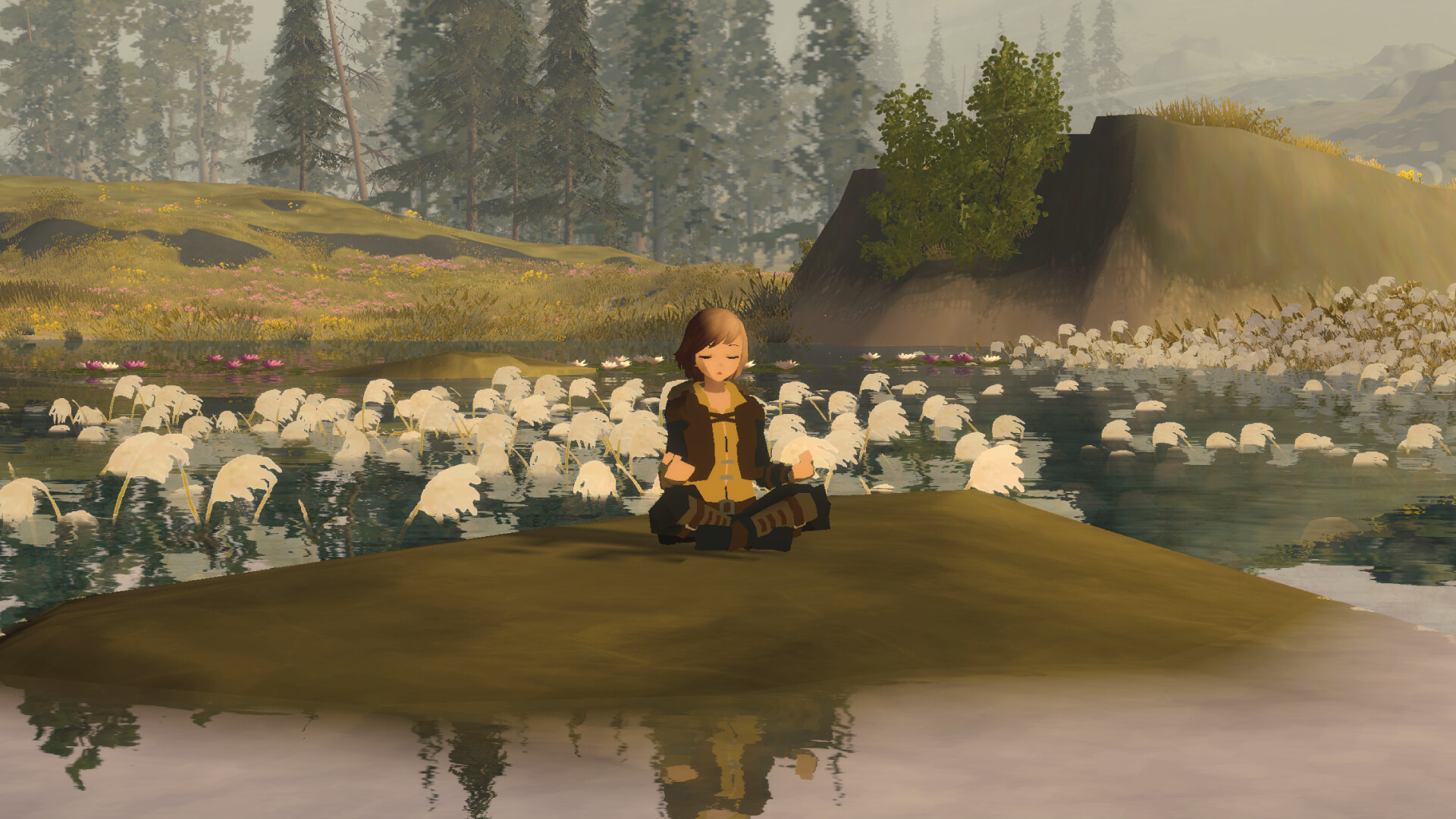Wildless Wilderless on Steam