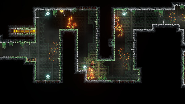 Скриншот из Gravity Castle