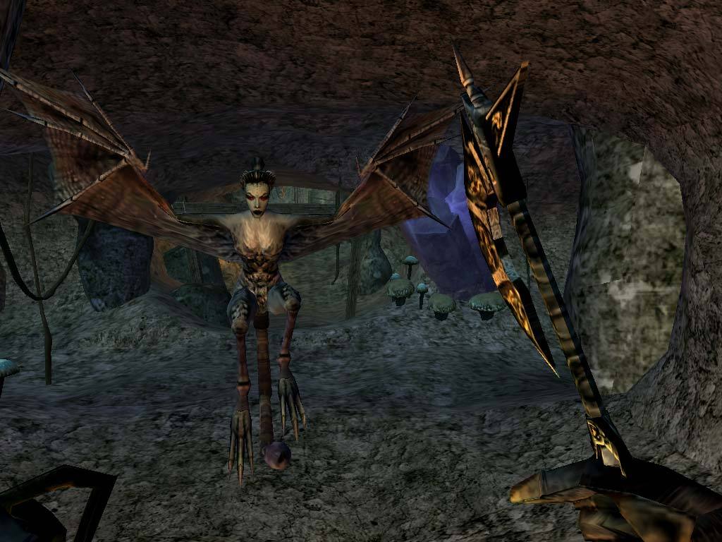 The Elder Scrolls III: Morrowind screenshot 2