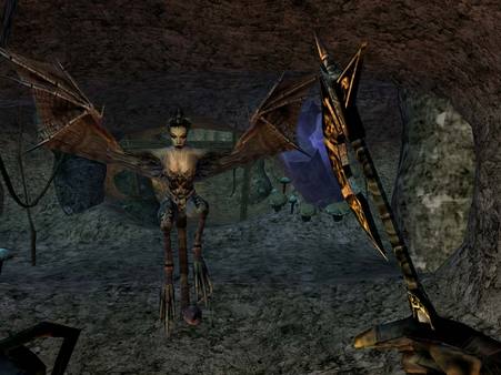 Скриншот №6 к The Elder Scrolls III Morrowind® Game of the Year Edition