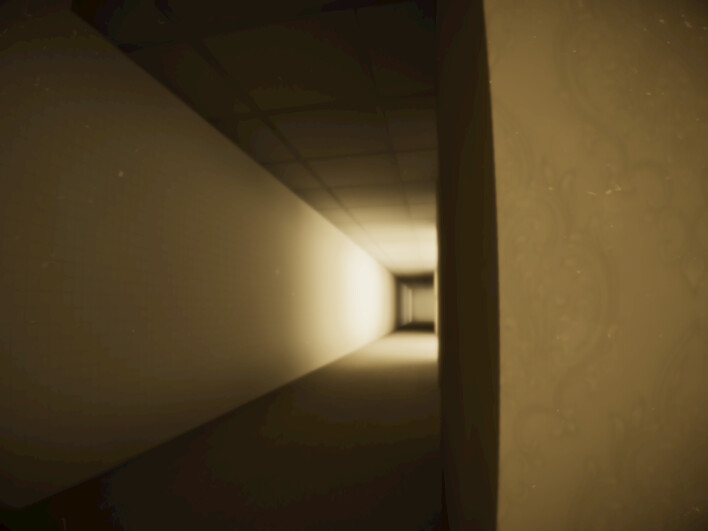 The Backrooms Origins #9