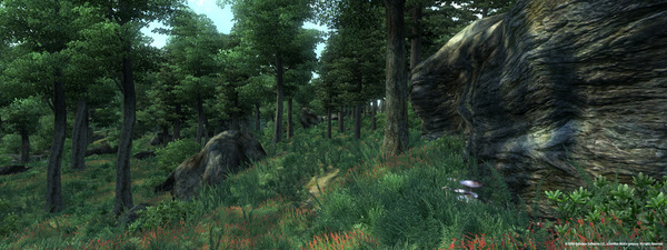 Скриншот №2 к The Elder Scrolls IV Oblivion® Game of the Year Edition