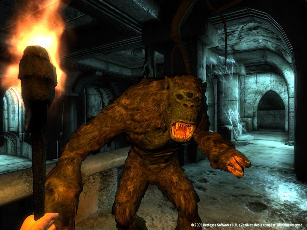 screenshot of The Elder Scrolls IV: Oblivion® Game of the Year Edition 13