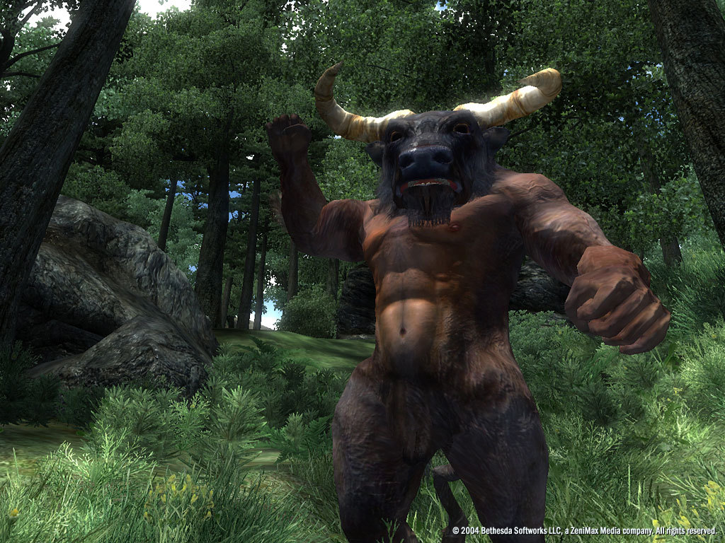 screenshot of The Elder Scrolls IV: Oblivion® Game of the Year Edition 18