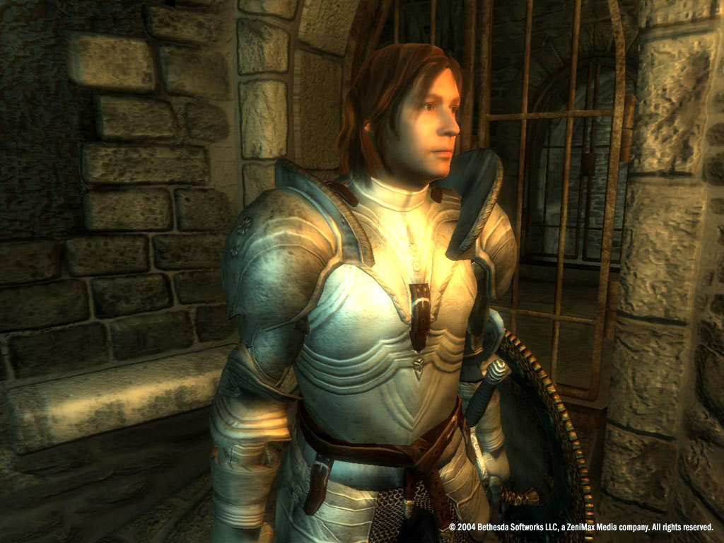 screenshot of The Elder Scrolls IV: Oblivion® Game of the Year Edition 27