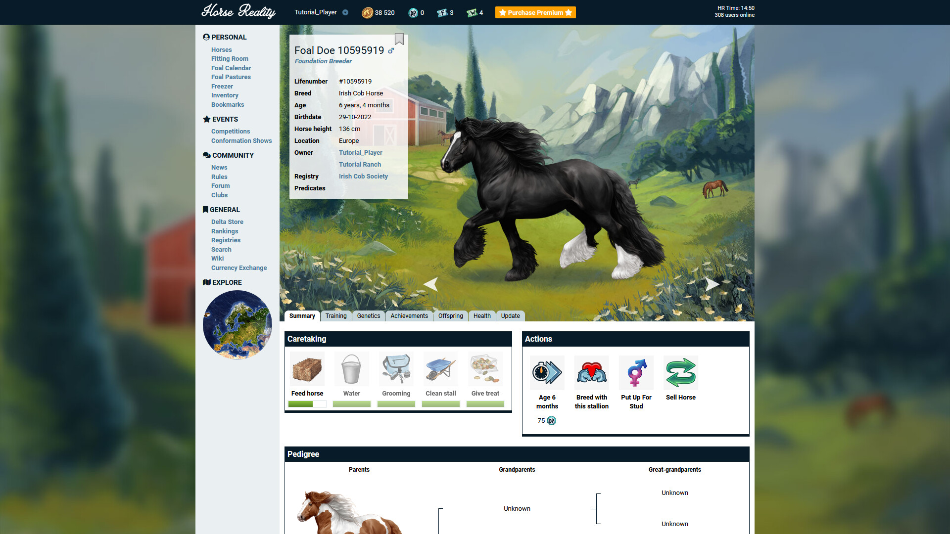 Horse Reality on Steam