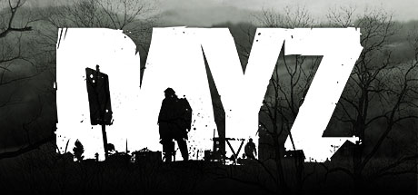 DayZ Server banner