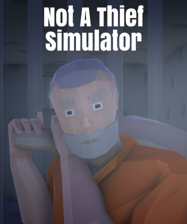 Not A Thief Simulator