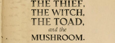 The Thief, the Witch, the Toad, and the Mushroom.