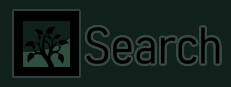 Search