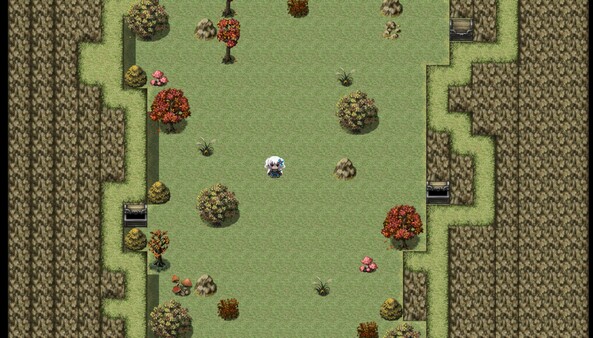 Скриншот из Seventh Star