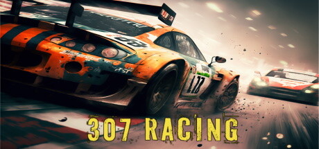 307 Racing Cover Image