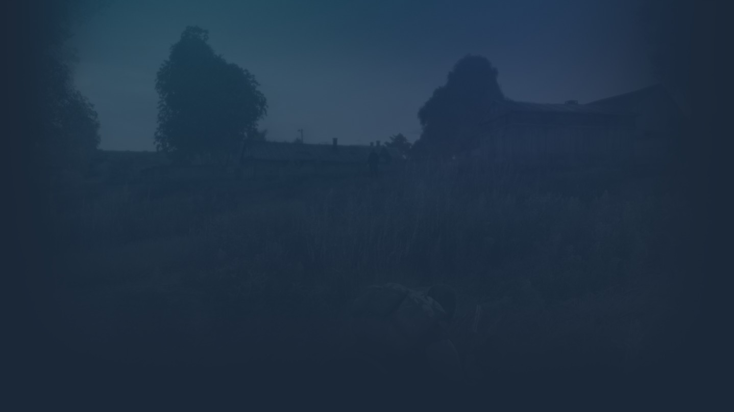 Arma II: DayZ Mod background
