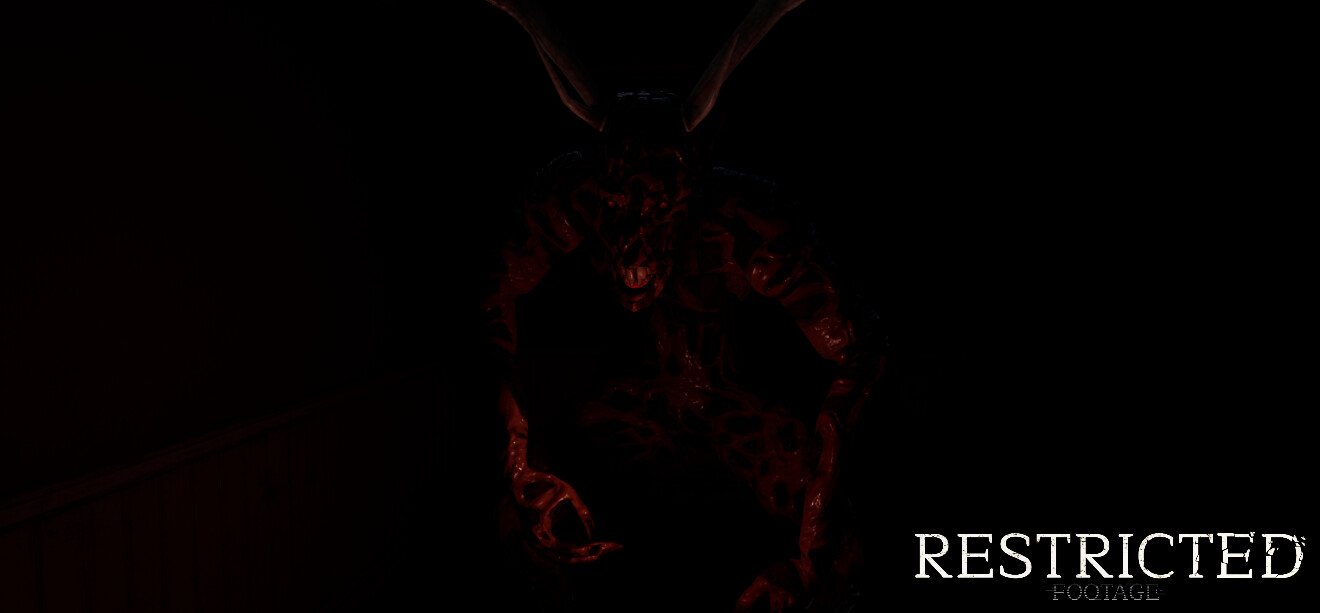 Restricted Footage screenshot 1