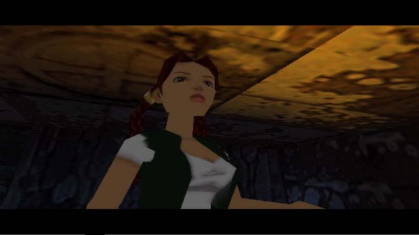 Tomb Raider V: Chronicles скриншот