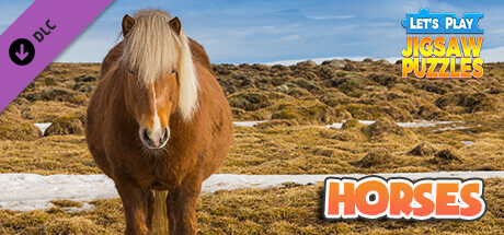 Let's Play Jigsaw Puzzles: Horses