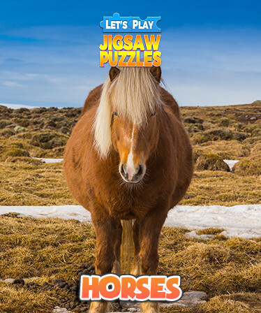 Let's Play Jigsaw Puzzles: Horses