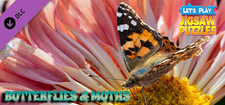 Let's Play Jigsaw Puzzles: Butterflies & Moths