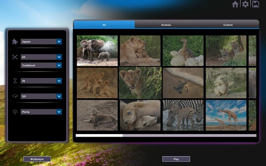 Let's Play Jigsaw Puzzles: At the Zoo