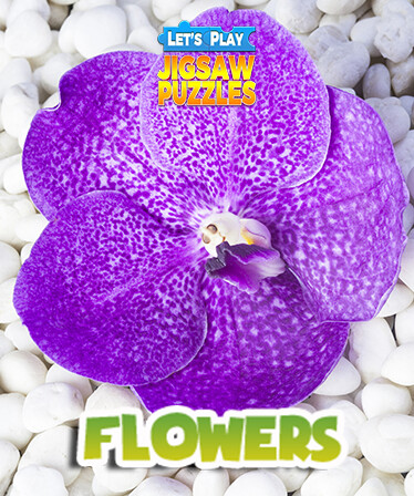 Let's Play Jigsaw Puzzles: Flowers