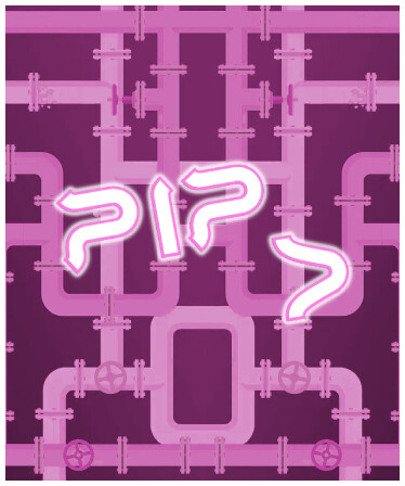 PIP D