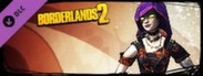 Borderlands 2: Mechromancer Supremacy Pack