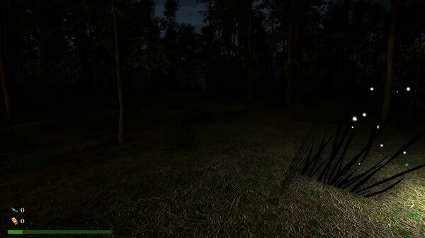 Скриншот из Bozalleth's Curse