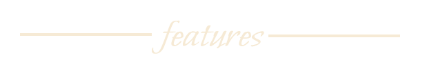 HeadingFeatures.png?t=1701875583