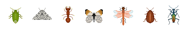 RowOfBugs.png?t=1701875583